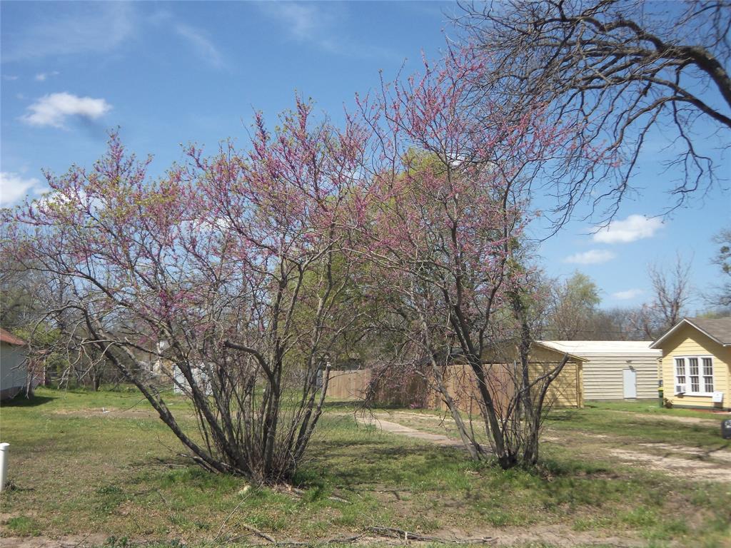 307 Northeast 5th Street Hubbard, TX 76648 - Photo 34 of 40 redbud tree