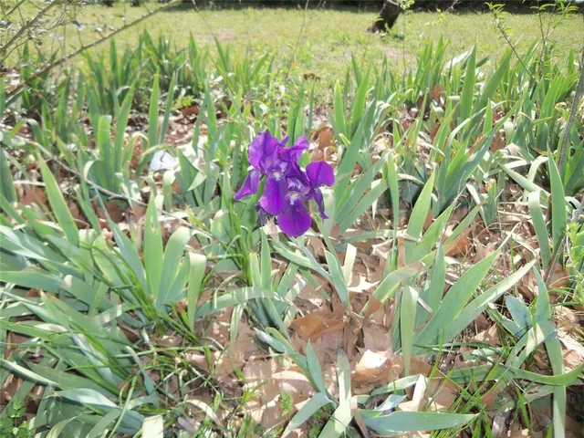 $169,000 | 307 Northeast 5th Street, Hubbard, TX 76648