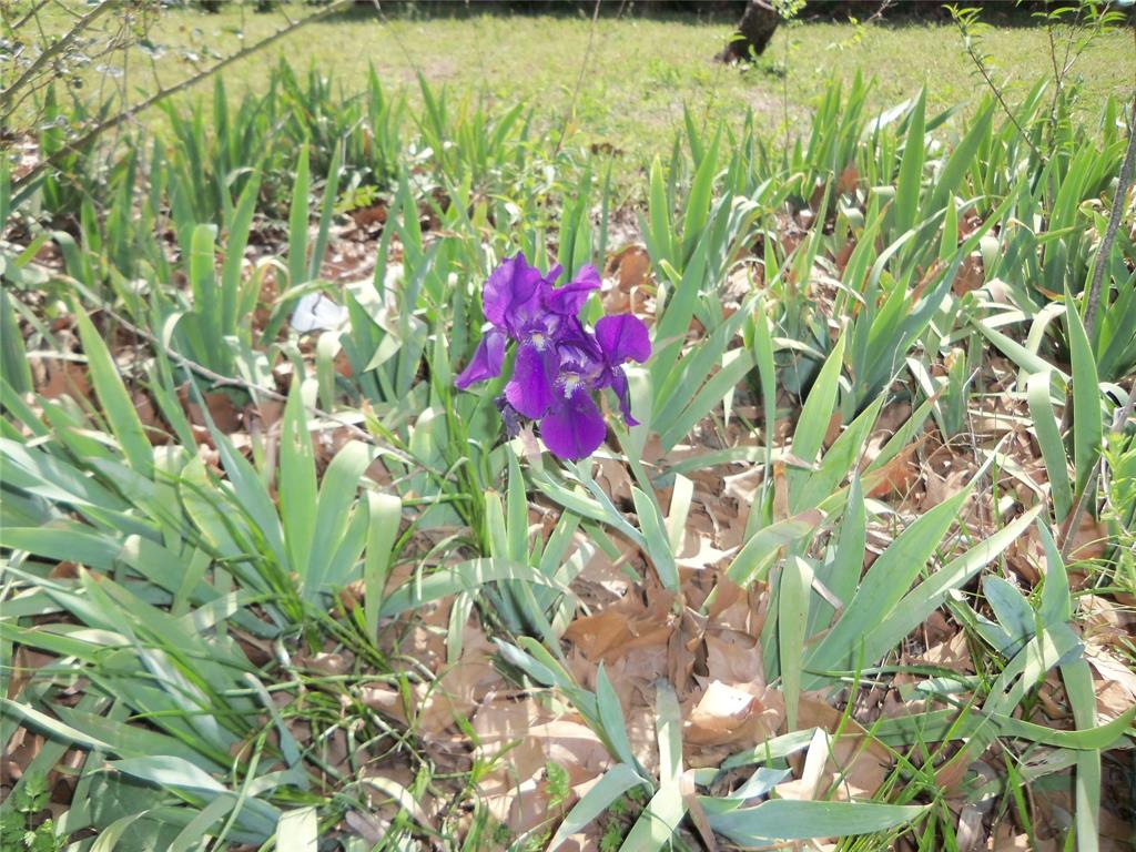 307 Northeast 5th Street Hubbard, TX 76648 - Photo 5 of 40