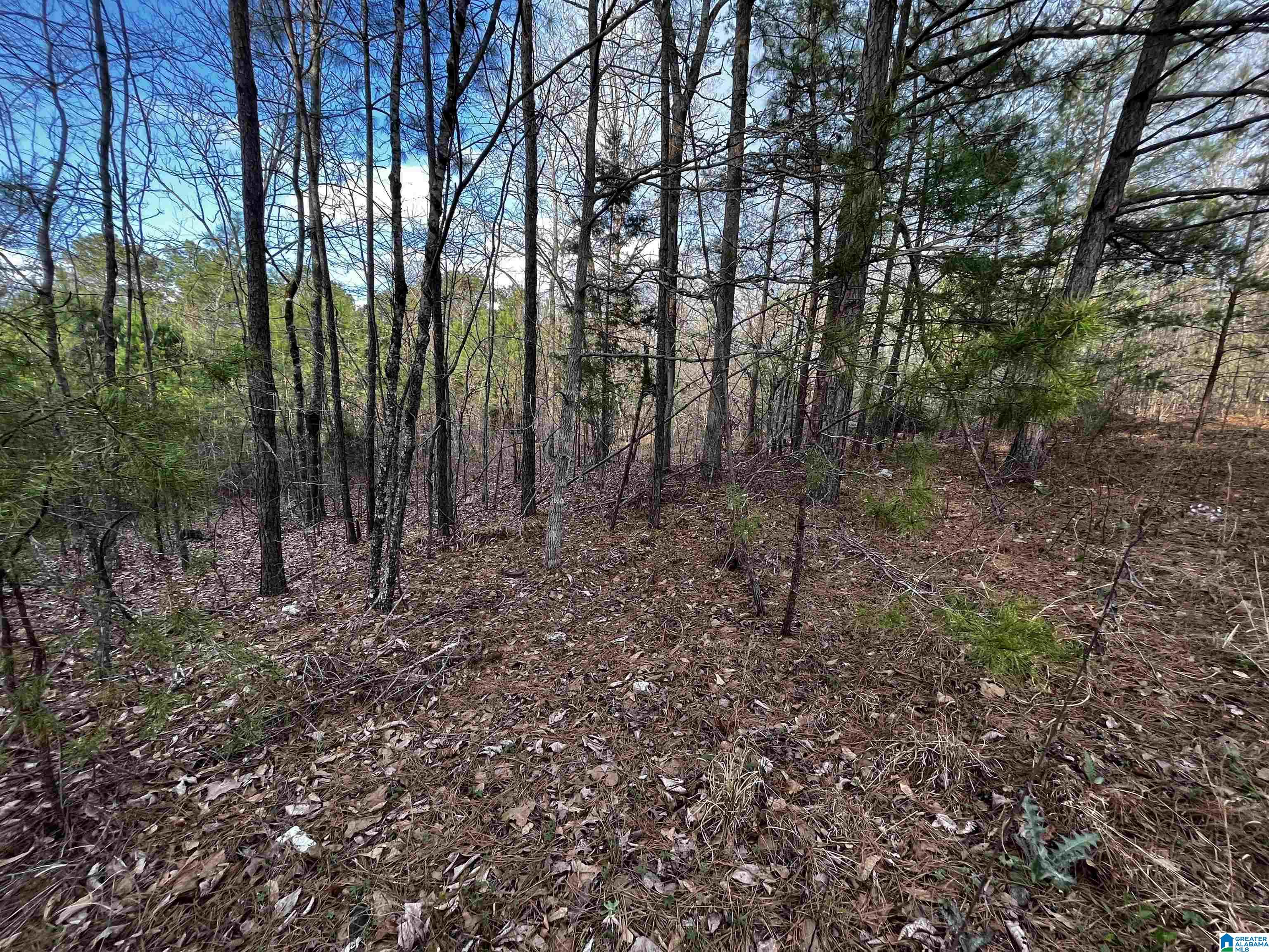 879 County Road 772 Montevallo, AL 35115 - Photo 1 of 8