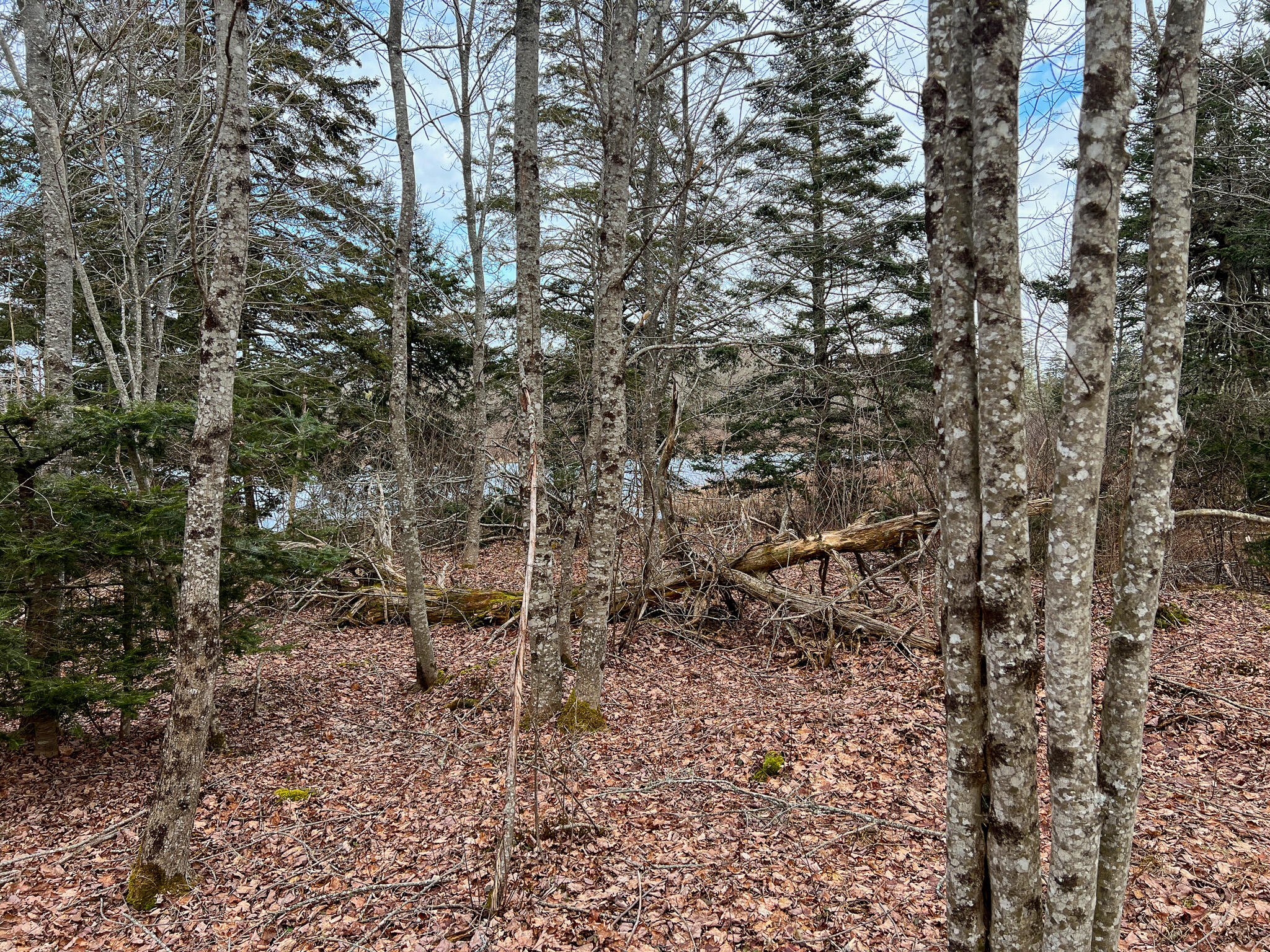 M4-l117 Southwest Crk Road Jonesport, ME 04649 - Photo 7 of 18 IMG_8377