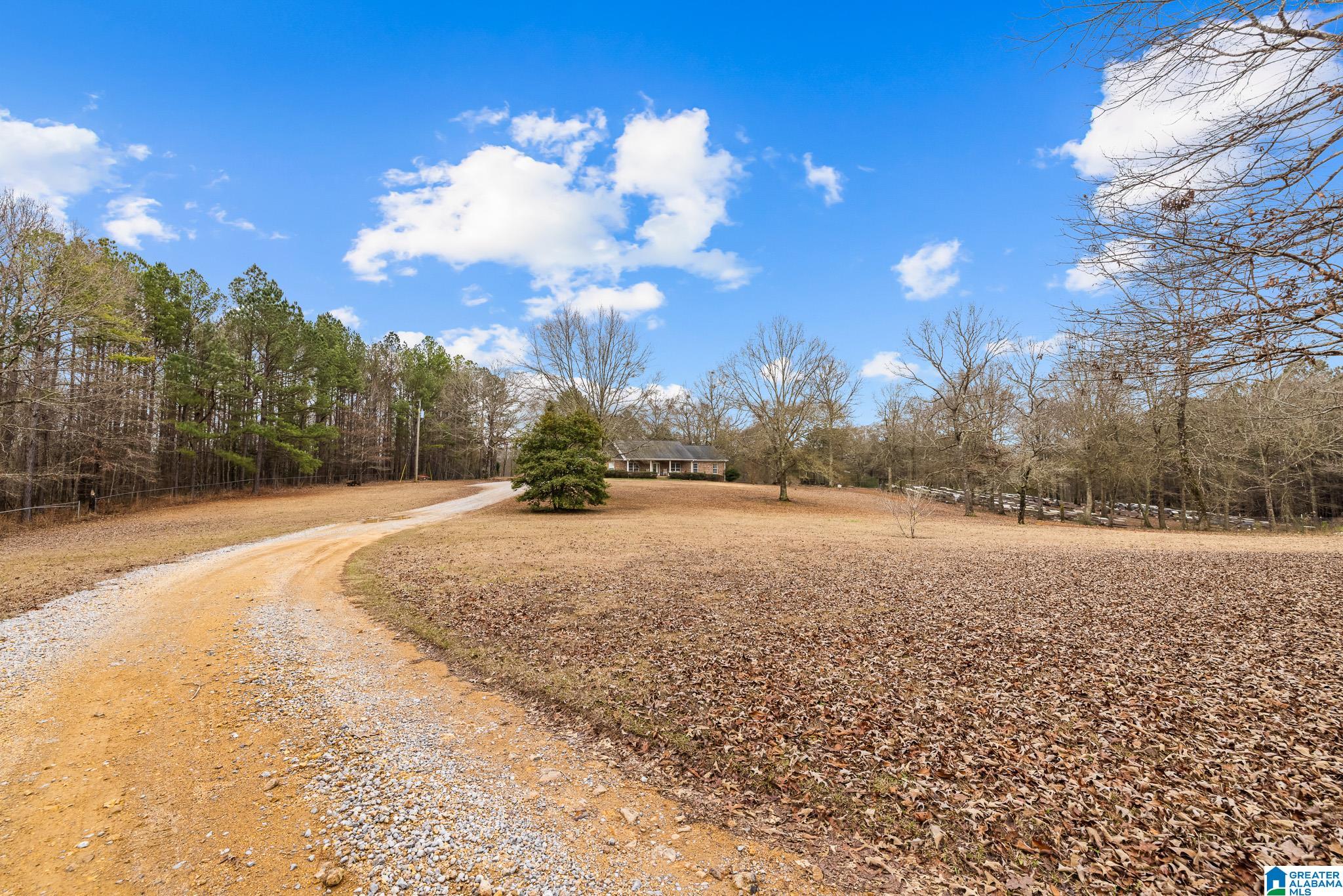 814 Deer Trace Road Pell City, AL 35125 - Photo 38 of 40
