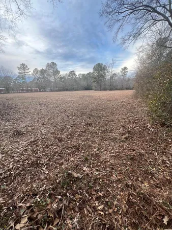 $40,000 | 0 Lantern Lane, Sumter, SC 29154
