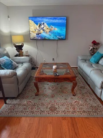 a living room with furniture and a rug