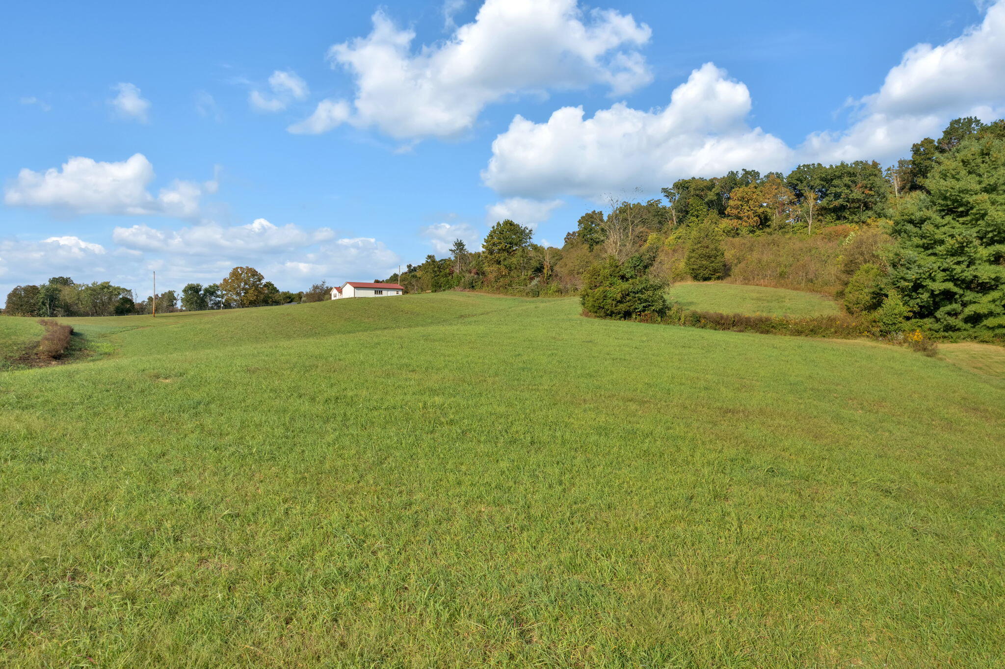 3665 Charlie Doty Road Greeneville, TN 37745 - Photo 6 of 15 13-web-or-mls-DJI_0076