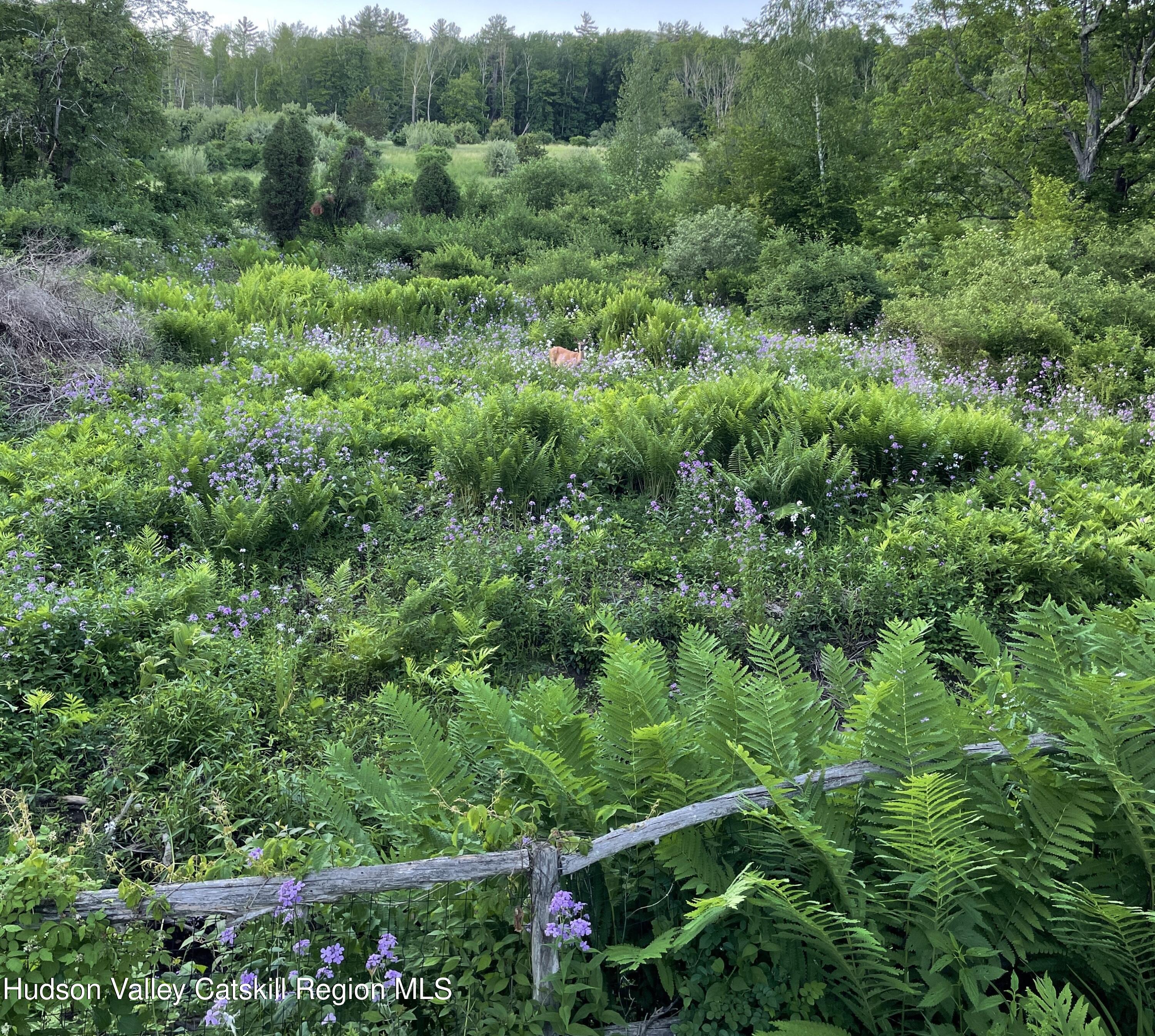 96 Wittenberg Road Bearsville, NY 12409 - Photo 20 of 41 11b Spring Meadow