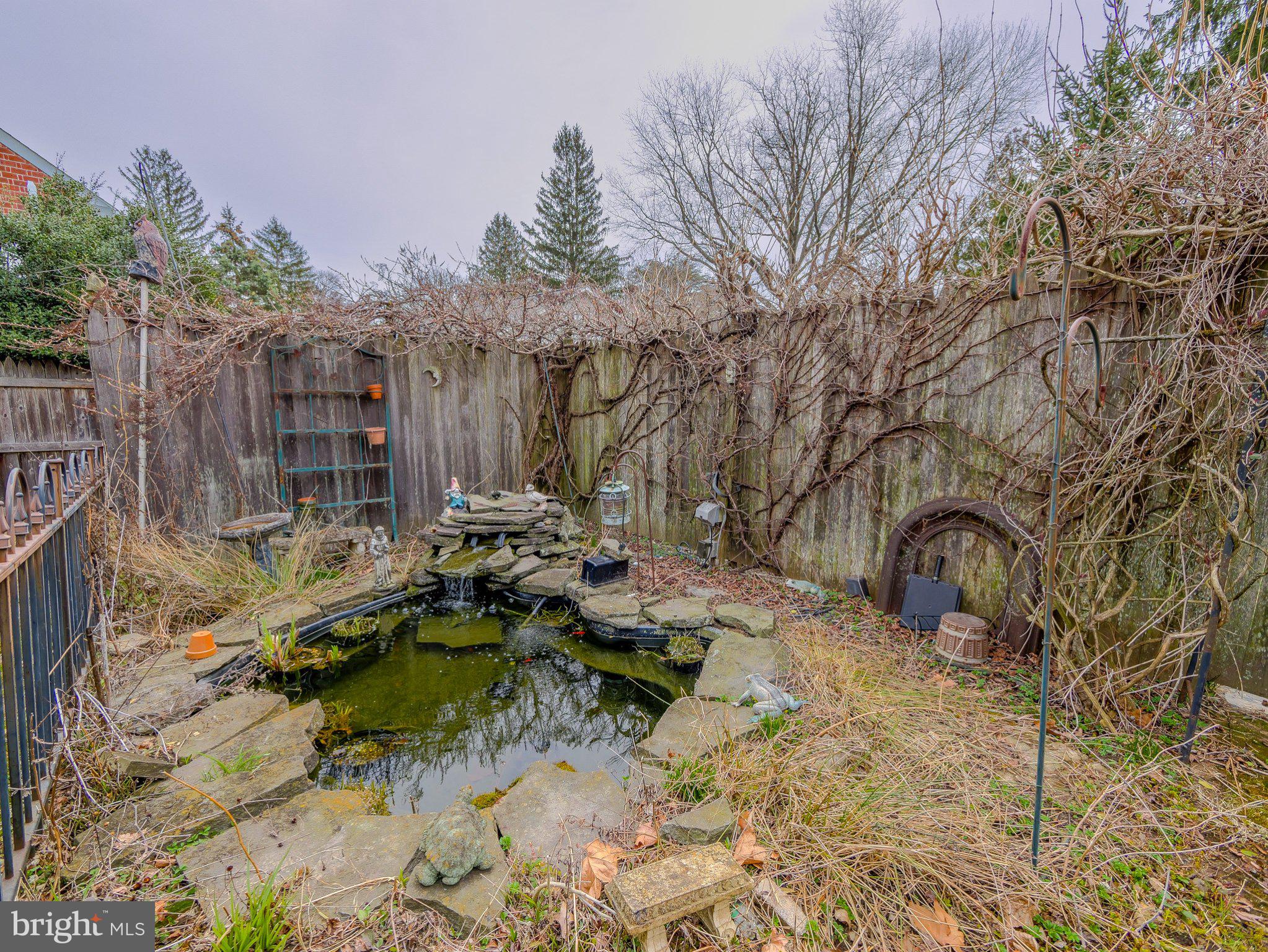 332 North Providence Road Wallingford, PA 19086 - Photo 42 of 48 a picture of trees