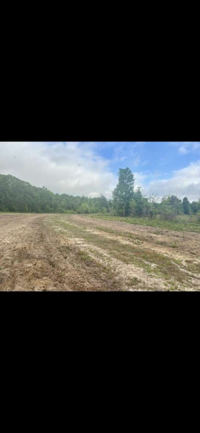 0 Sealy Wells Road Gordon, AL 36343 - Photo 10 of 25