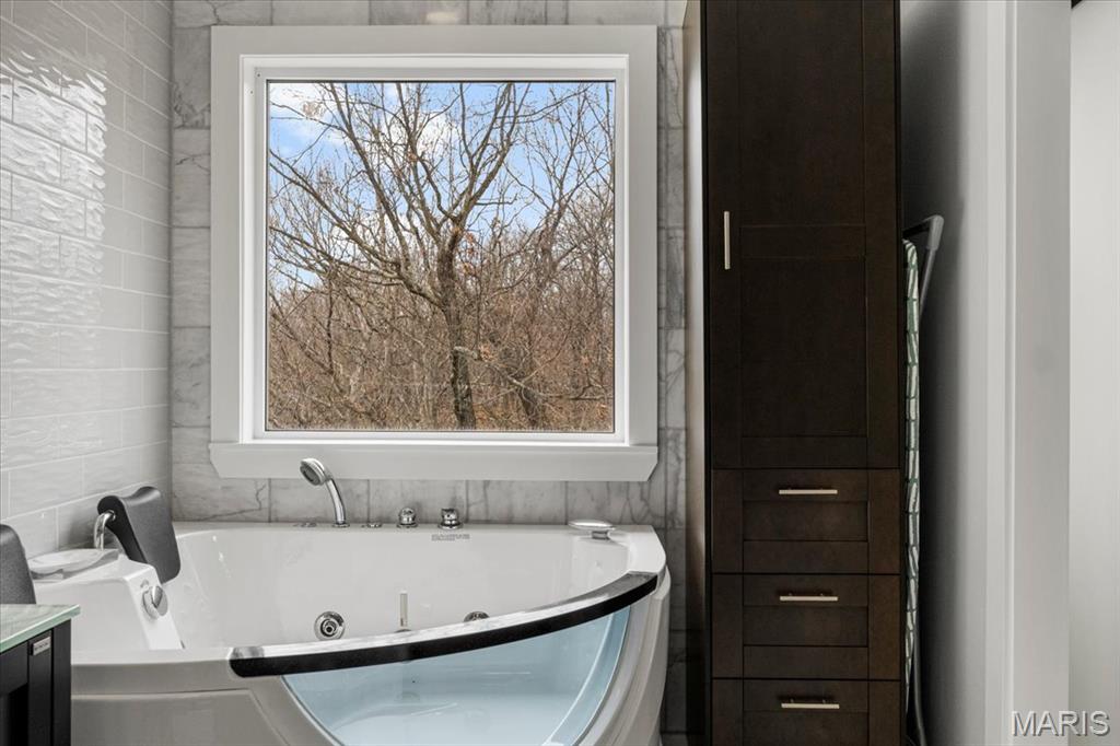 9 Amber Ridge Court High Ridge, MO 63049 - Photo 30 of 48