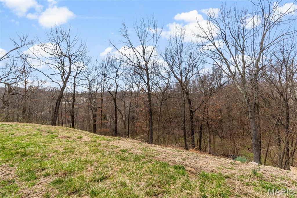 9 Amber Ridge Court High Ridge, MO 63049 - Photo 41 of 48