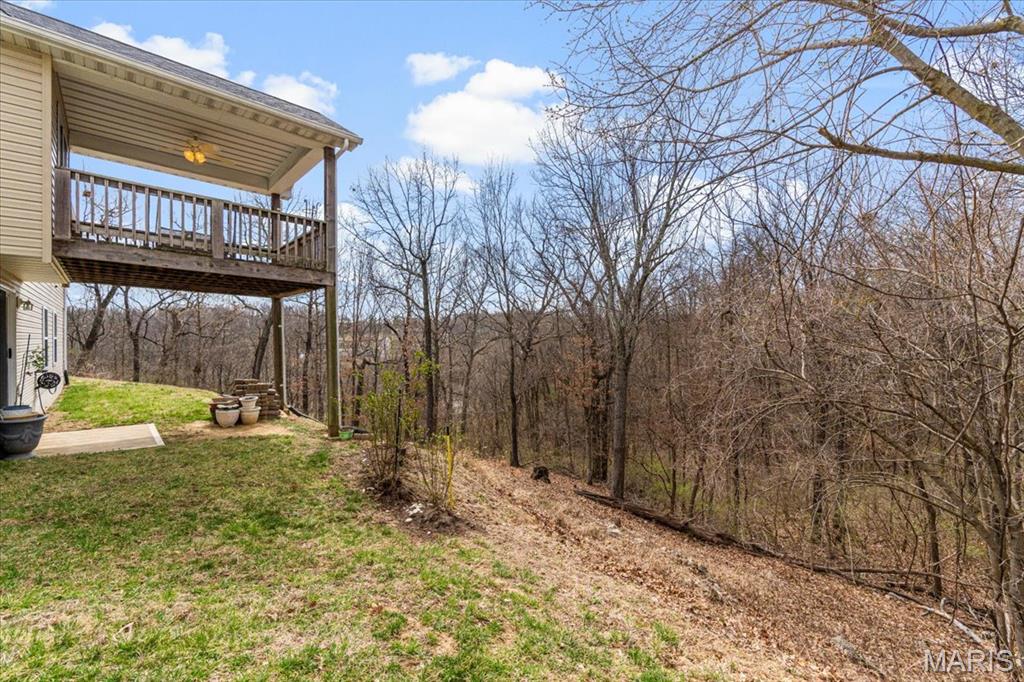 9 Amber Ridge Court High Ridge, MO 63049 - Photo 46 of 48