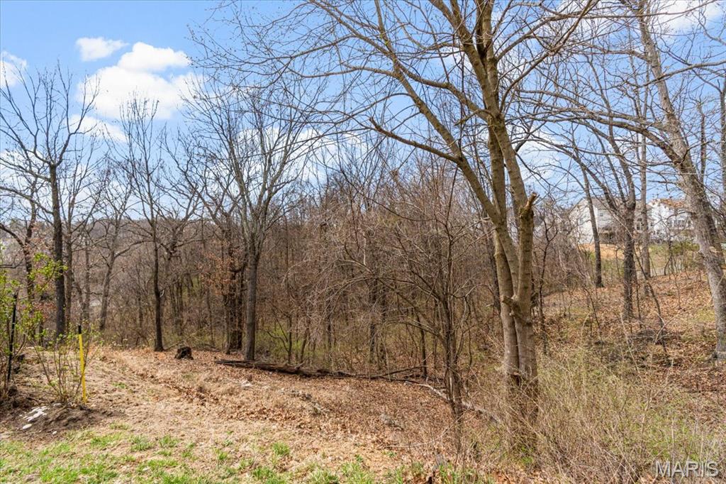 9 Amber Ridge Court High Ridge, MO 63049 - Photo 47 of 48