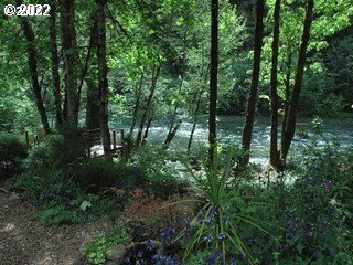 91283 Blue River Road Blue River, OR 97413 - Photo 4 of 12 Gallery Image 4
