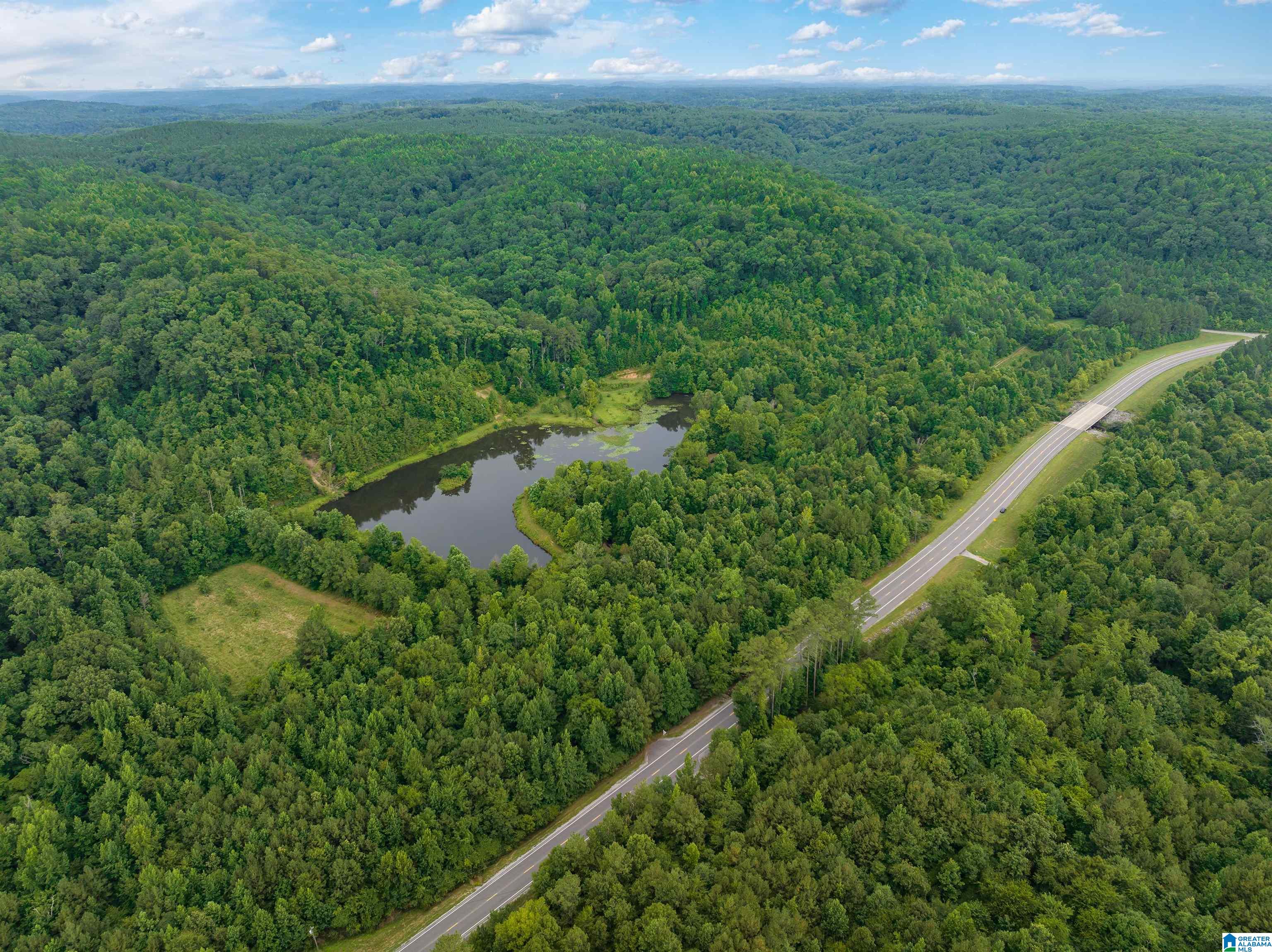 81 Frozen Hollow Road, Unit 32 Carbon Hill, AL 35549 - Photo 12 of 42