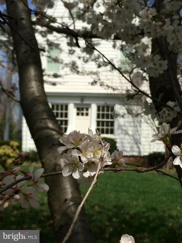 a view of a back yard of the house