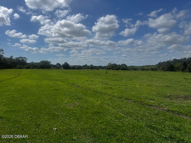 a view of a field with a big yard