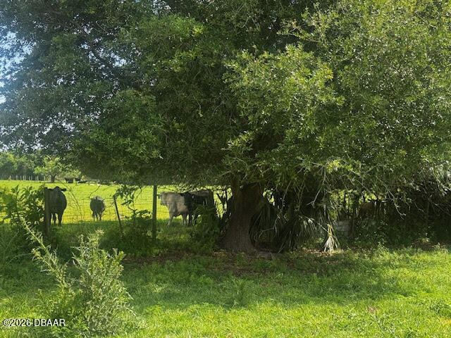 0 Tymber Creek Road Ormond Beach, FL 32174 - Photo 3 of 8