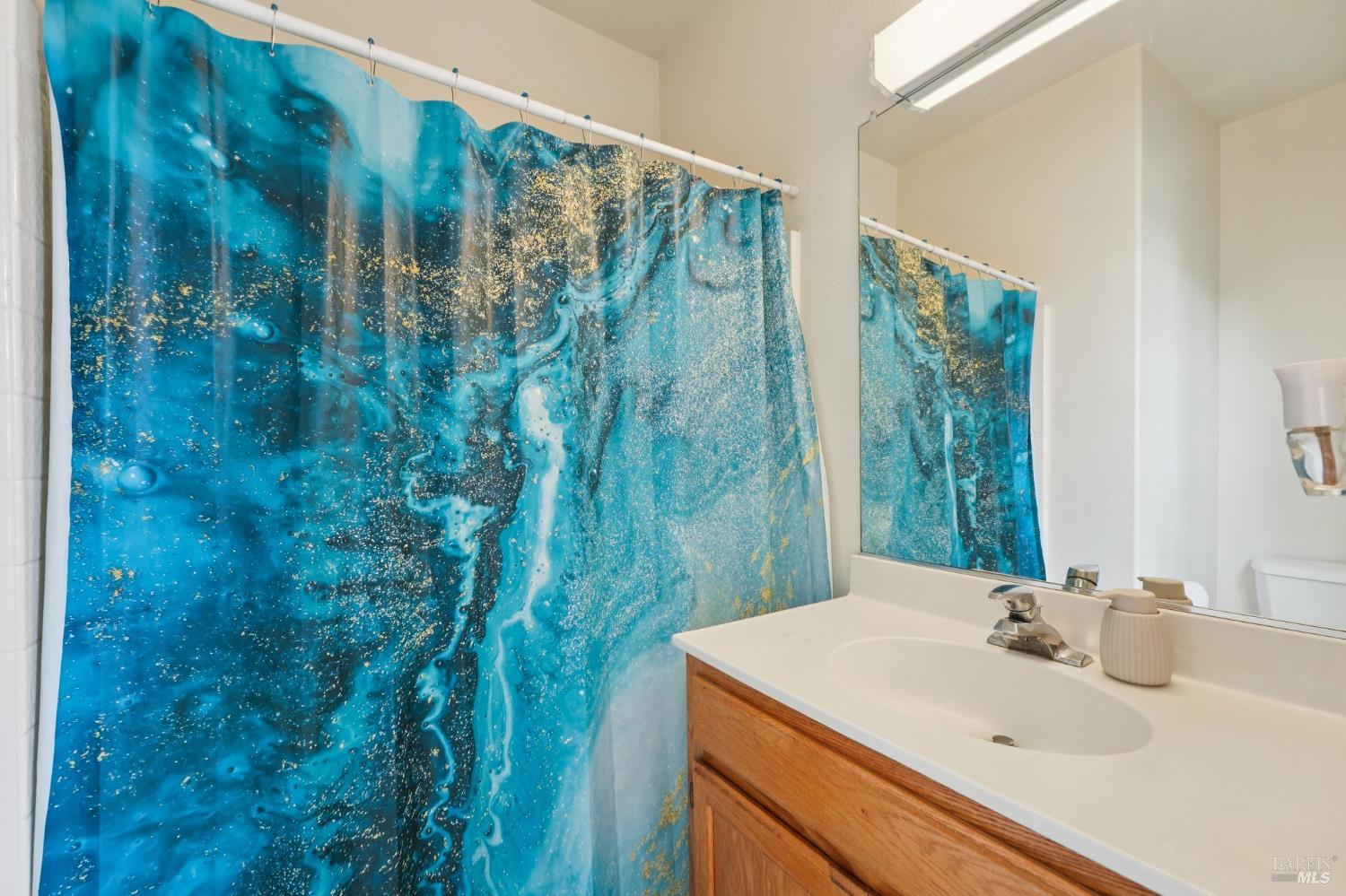 1311 Peterson Lane Santa Rosa, CA 95403 - Photo 10 of 48