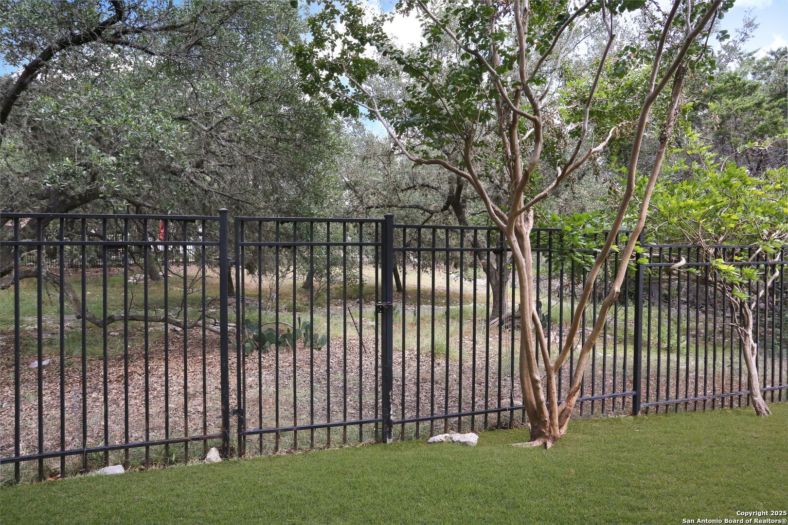 24630 Bogey Ridge San Antonio, TX 78260 - Photo 46 of 50 a view of a backyard