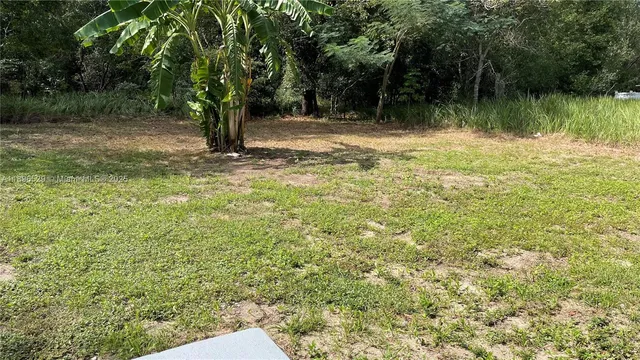 a view of a lake with a tree