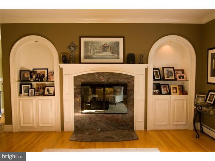 30 Forest Ridge Road Newark, DE 19711 - Photo 3 of 12 Fireplace