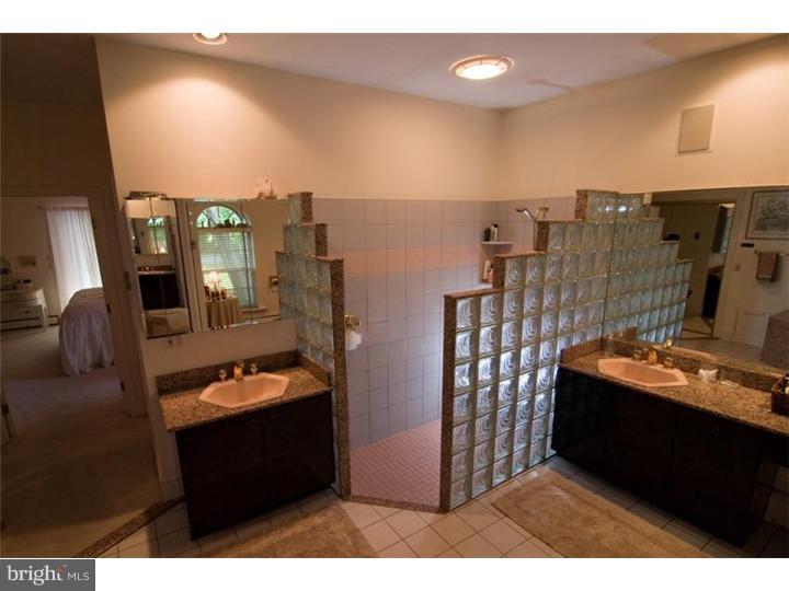 30 Forest Ridge Road Newark, DE 19711 - Photo 7 of 12 Master Bathroom