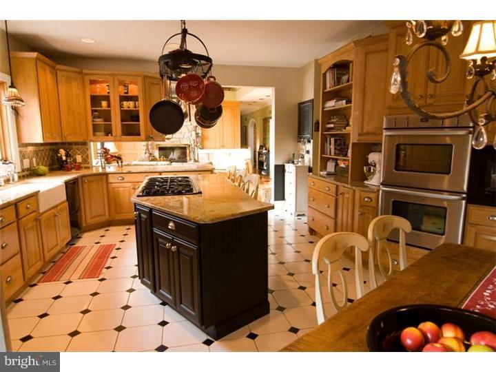 30 Forest Ridge Road Newark, DE 19711 - Photo 8 of 12 Kitchen