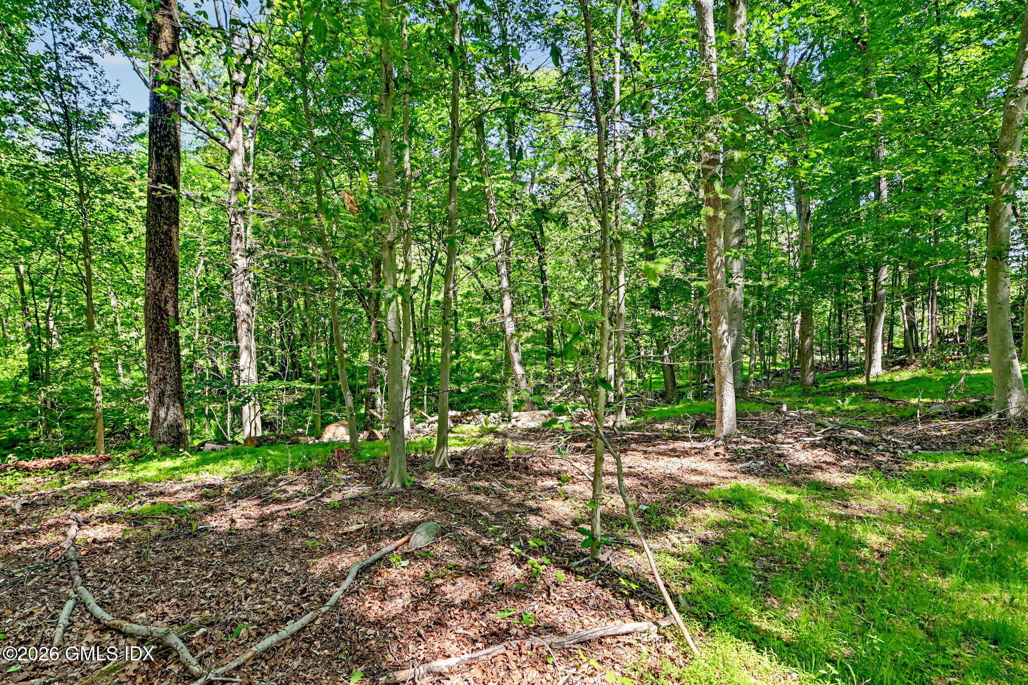 424 Cognewaugh Road Cos Cob, CT 06807 - Photo 42 of 43 53-web-or-mls-424-cognewaugh-rd