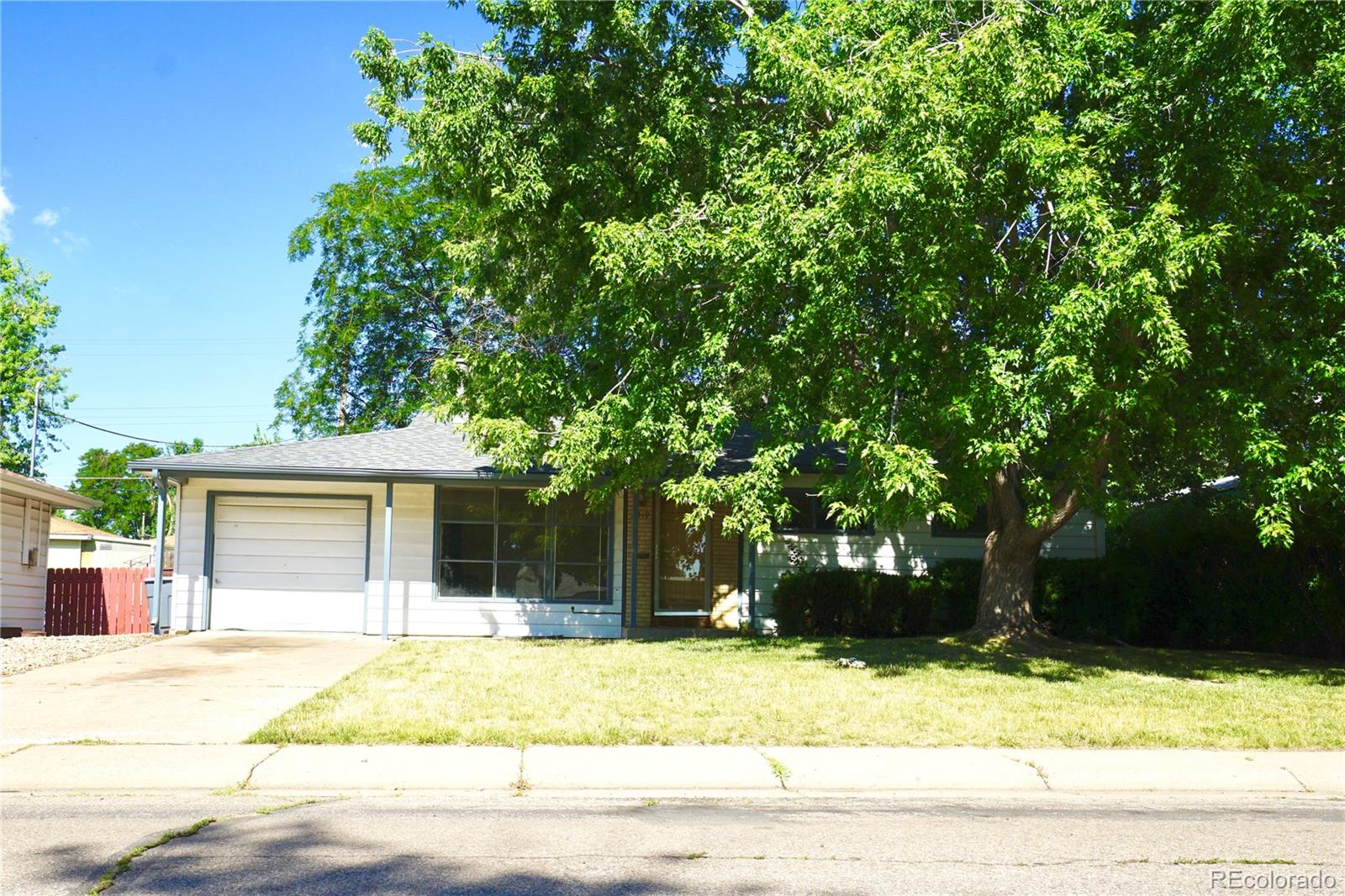 a house with a tree in front of it
