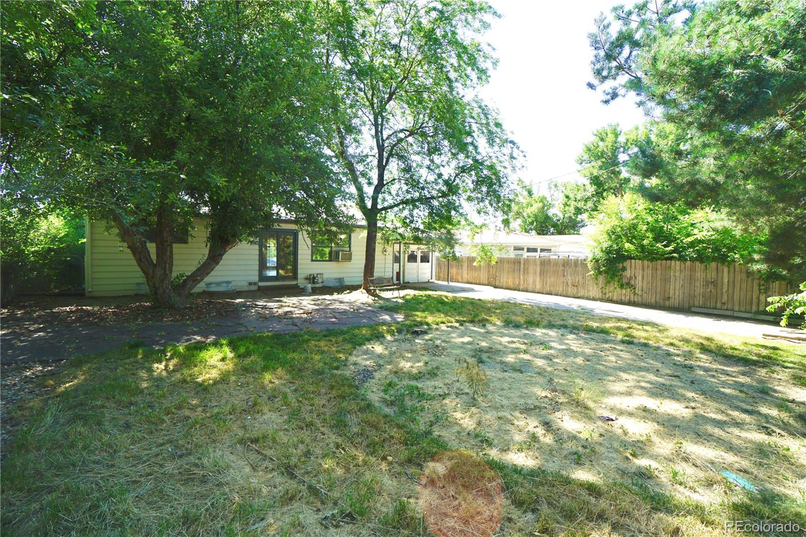 2519 15th Avenue Greeley, CO 80631 - Photo 25 of 25 a view of a yard with a large tree