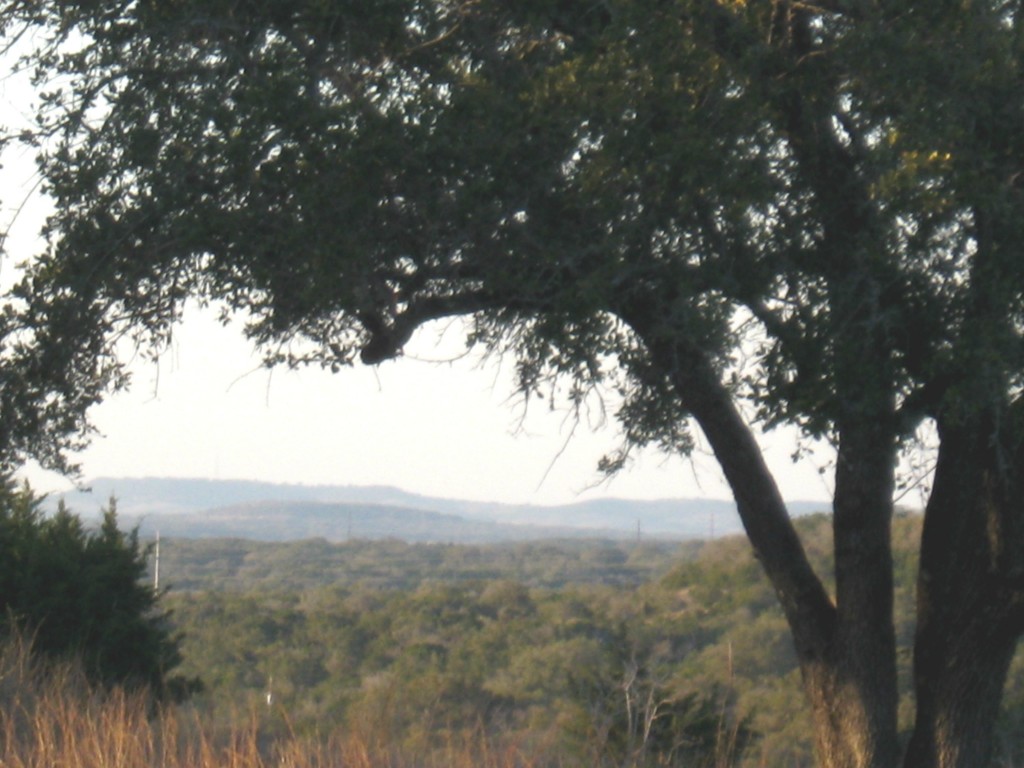 1616 Beauchamp Road Dripping Springs, TX 78620 - Photo 1 of 1 Gallery Image 1