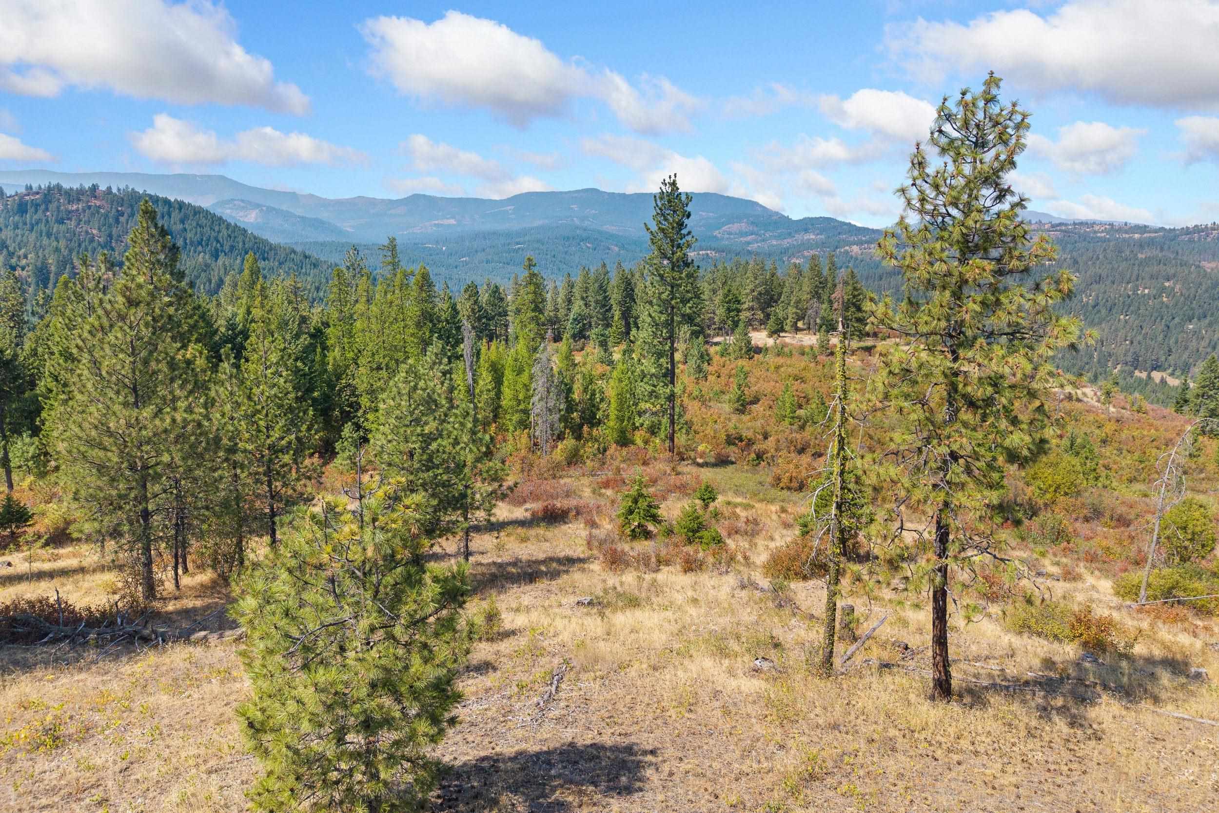 Nka Hoag Road Valley, WA 99181 - Photo 5 of 35 Gallery Image 5
