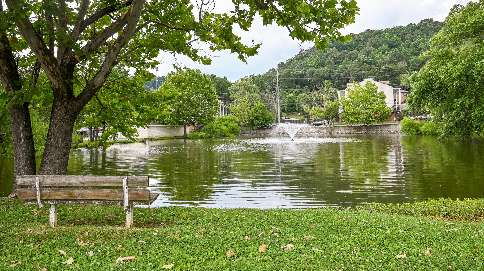 900 Mountain Creek Road, Unit P236 Chattanooga, TN 37405 - Photo 22 of 32 Pond