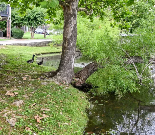 $150,000 | 900 Mountain Creek Road, Unit P236, Chattanooga, TN 37405