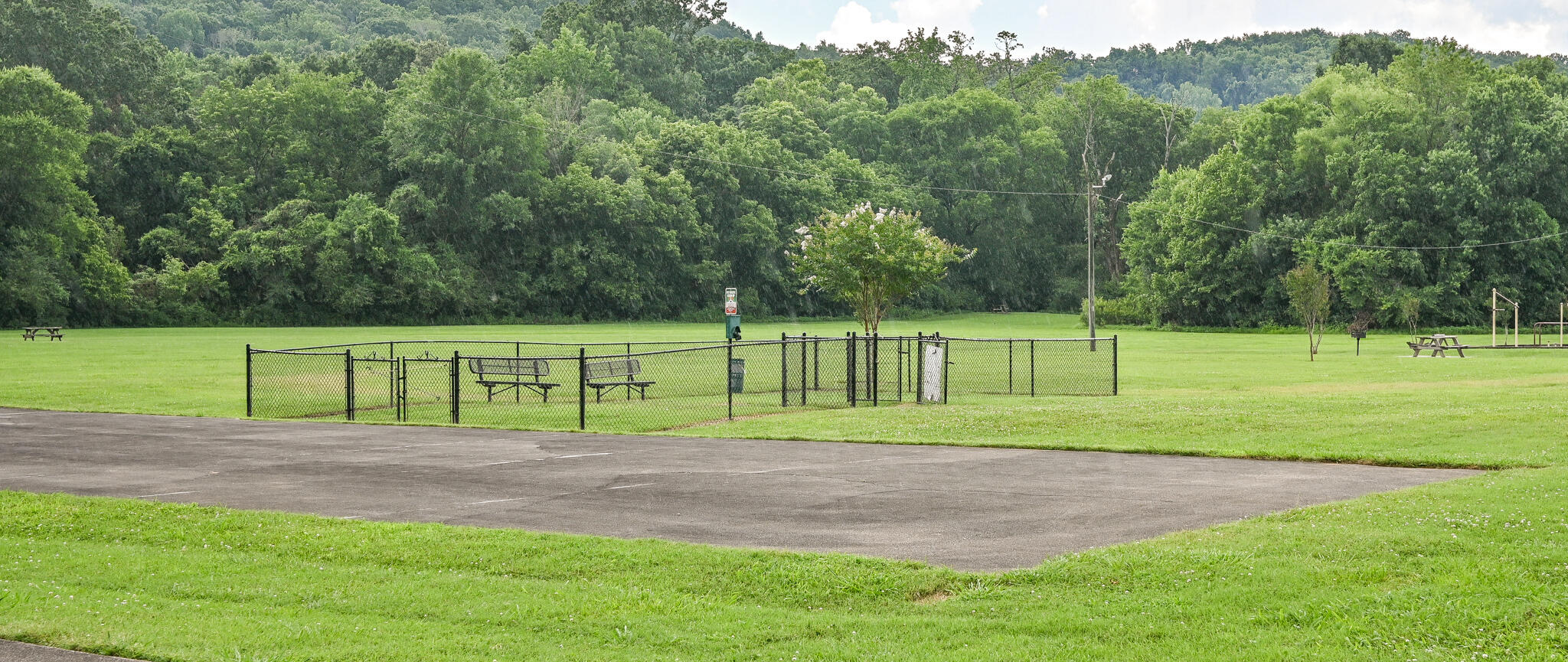 900 Mountain Creek Road, Unit P236 Chattanooga, TN 37405 - Photo 31 of 32 Dogpark