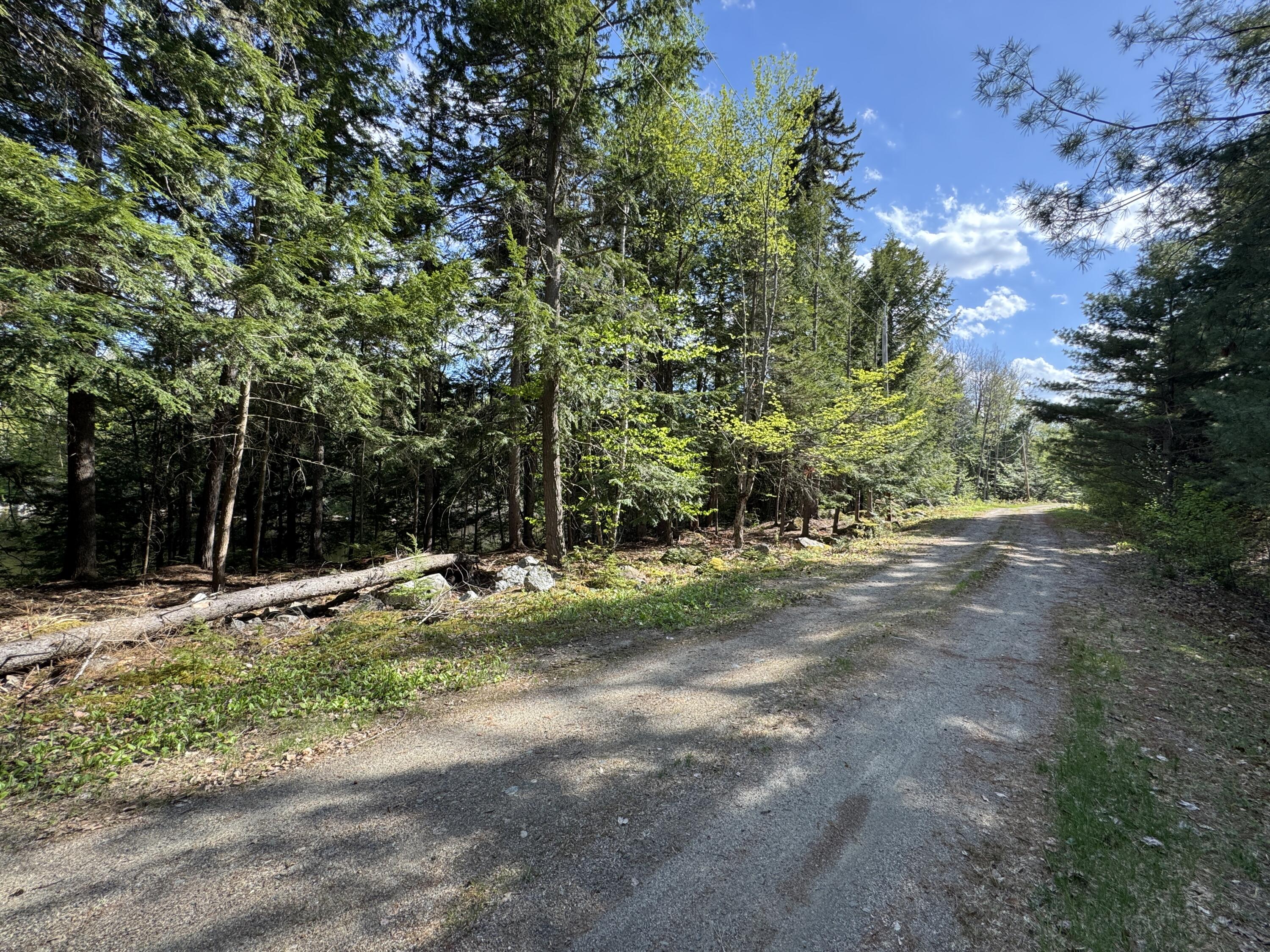 0 Elbow Lake Road Millinocket, ME 04462 - Photo 25 of 33 IMG_0427