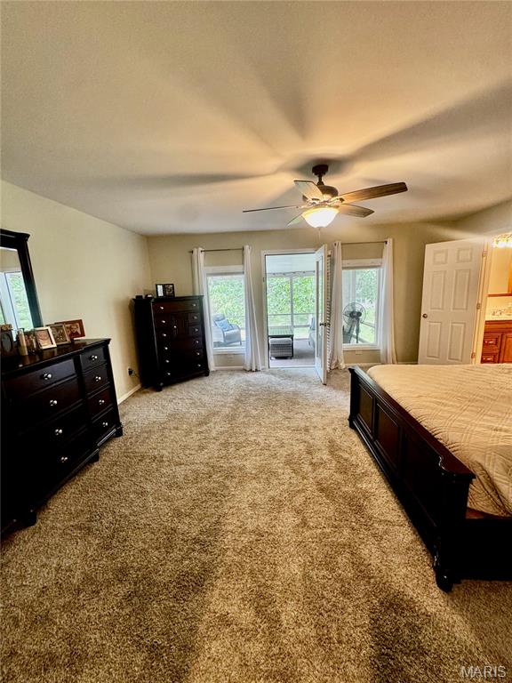 1330 Deer Creek Road Greenville, IL 62246 - Photo 23 of 55