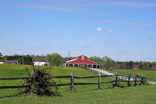 429 Hudson Jones Road Cochran, GA 31014 - Photo 2 of 45 a green field with trees in the background