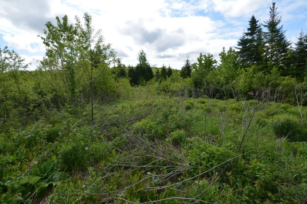 275 Back Ridge Road Littleton, ME 04730 - Photo 5 of 23 Photo