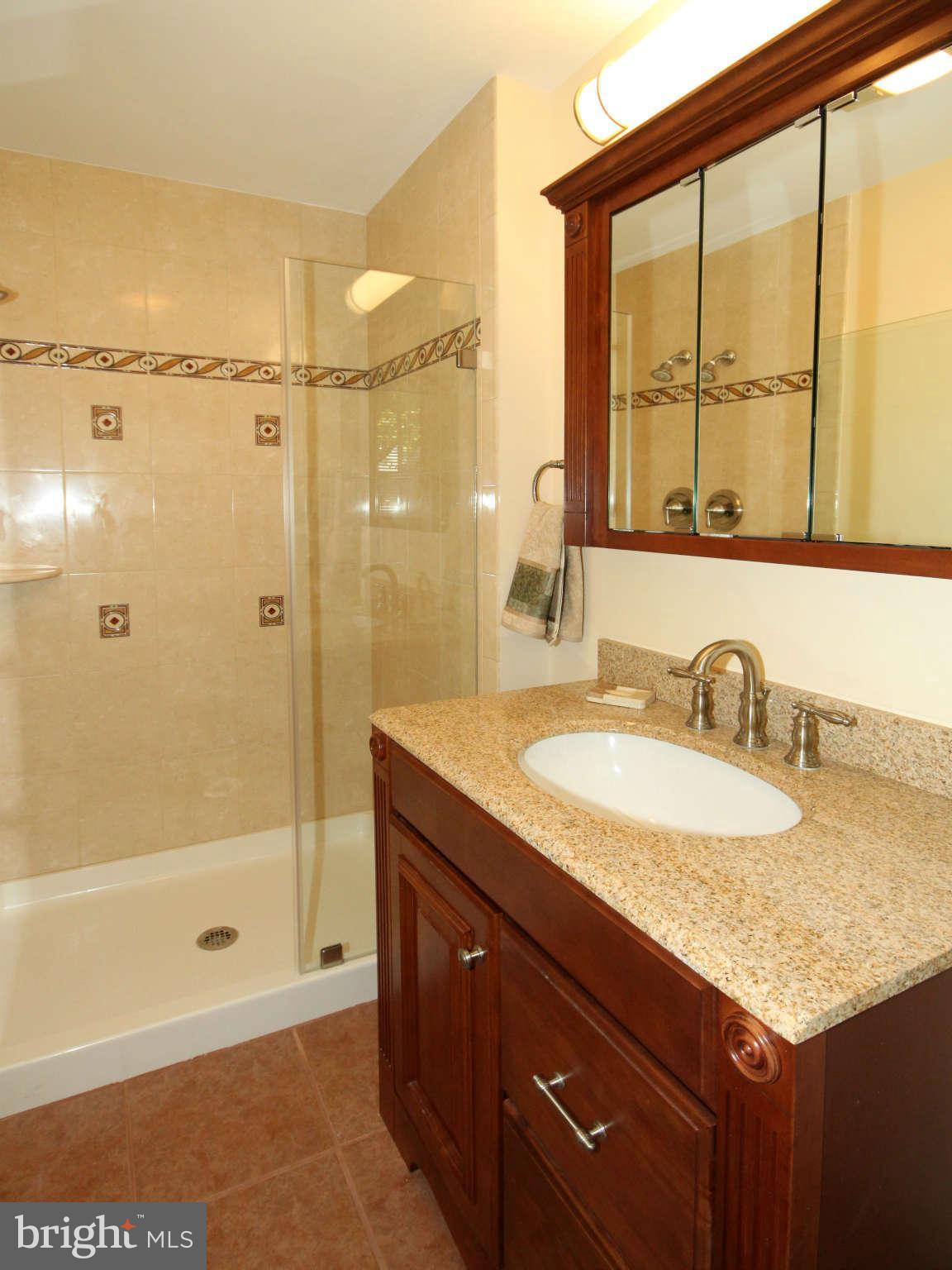 8201 Langbrook Road Springfield, VA 22152 - Photo 12 of 29 Bath (Master)
