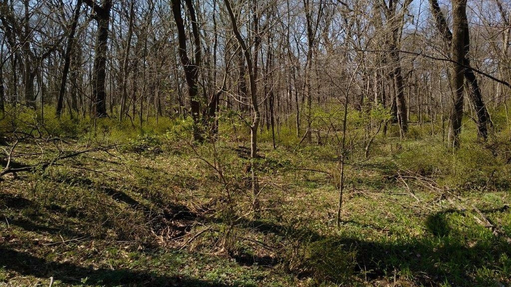 15510-split W 185th Avenue Lowell, IN 46356 - Photo 6 of 6