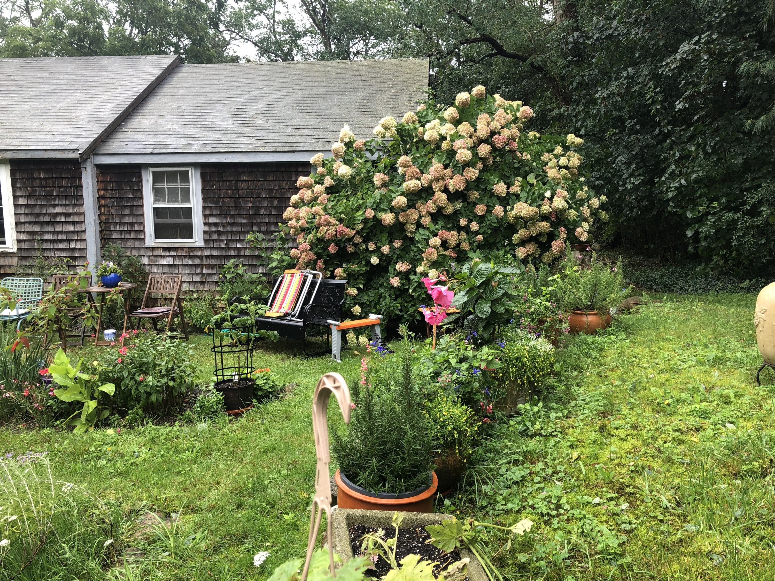 9 Childs Homestead Road Orleans, MA 02653 - Photo 6 of 19 a backyard of a house with lots of green space