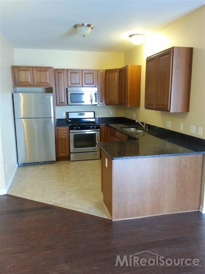 342 Brigg Street Howell, MI 48855 - Photo 4 of 14 31162690-3.JPG