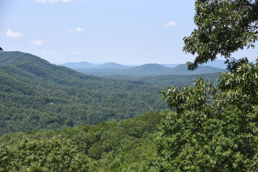 21 Locust Loop Lane Murphy, NC 28906 - Photo 70 of 74 Gallery Image 70