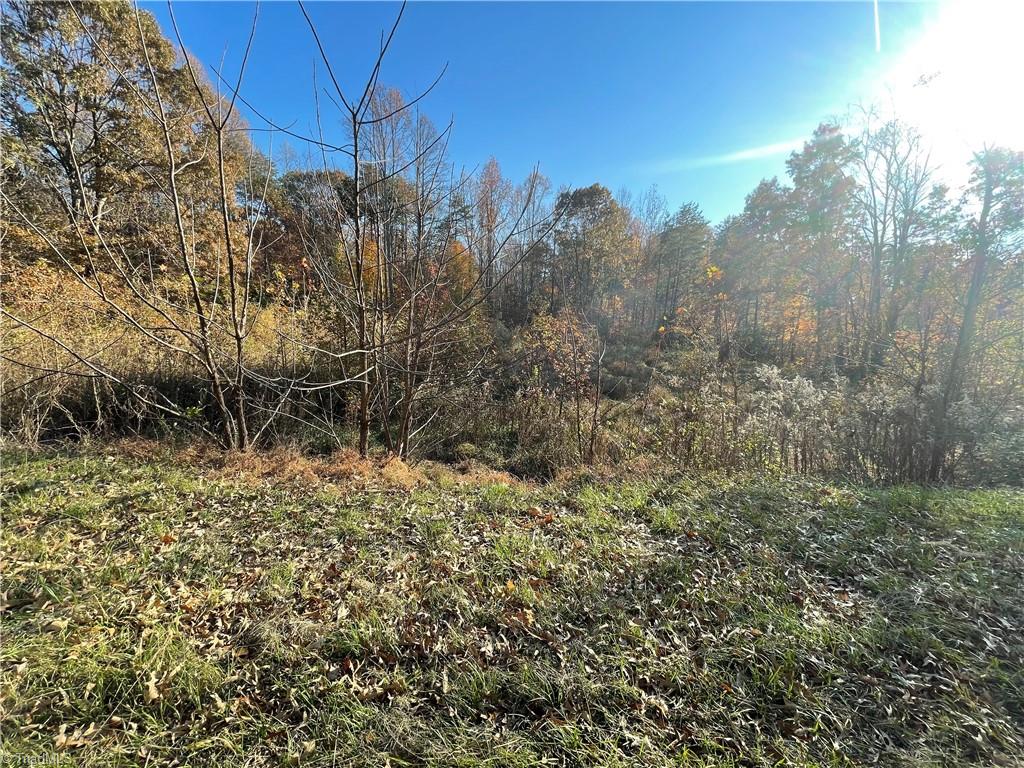 0 Wilson Road Reidsville, NC 27320 - Photo 3 of 3 Gallery Image 3