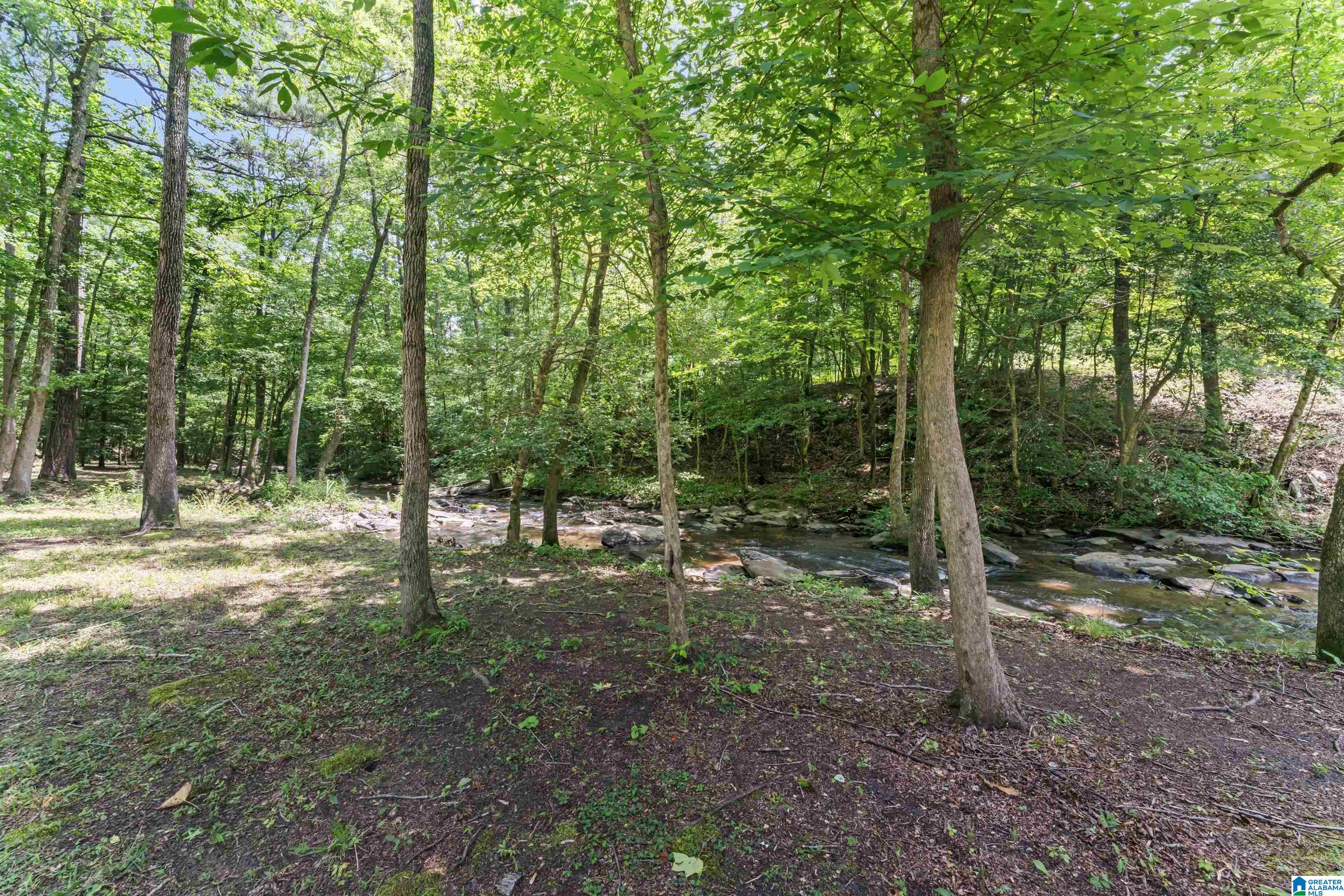 65 Winding Stair Trail Leeds, AL 35094 - Photo 40 of 54