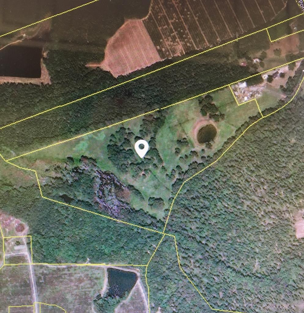 0 Mayo Road Ridge Spring, SC 29129 - Photo 2 of 14