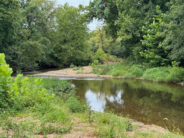 0 Fortyeight Creek Road Waynesboro, TN 38485 - Photo 6 of 10 a view of a lake in middle of forest