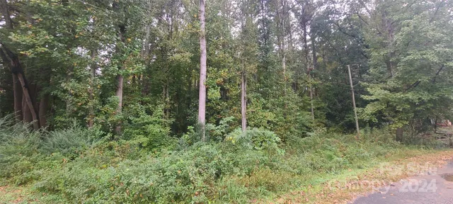 $35,000 | Tbd Wildwood Lane, Troy, NC 27371