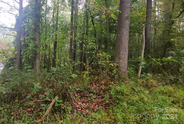 $35,000 | Tbd Wildwood Lane, Troy, NC 27371